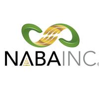 Black Accountants (NABA)