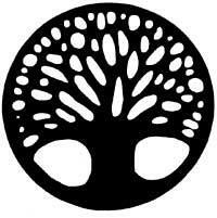 National Organization of Forensic Social Work 
